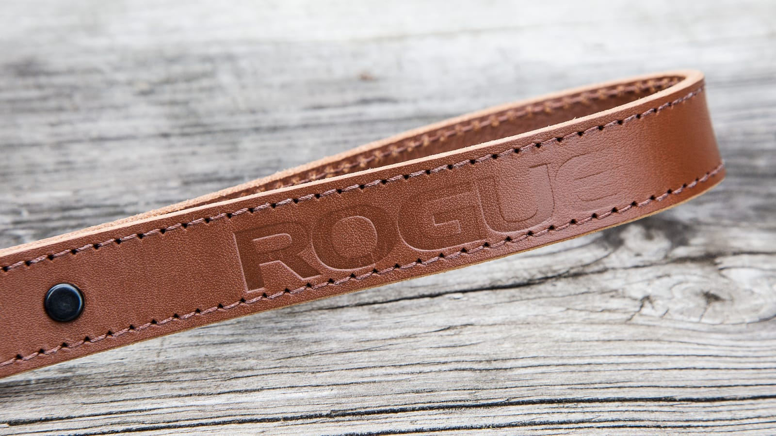Rogue fitness sales dog collar